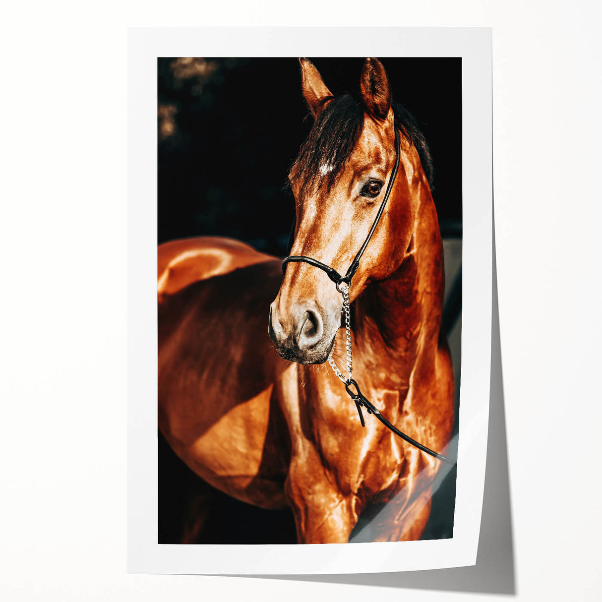 Farmhouse Wall Art – Elegant Horse Portrait – Rustic Country Decor