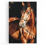 Farmhouse Wall Art – Elegant Horse Portrait – Rustic Country Decor