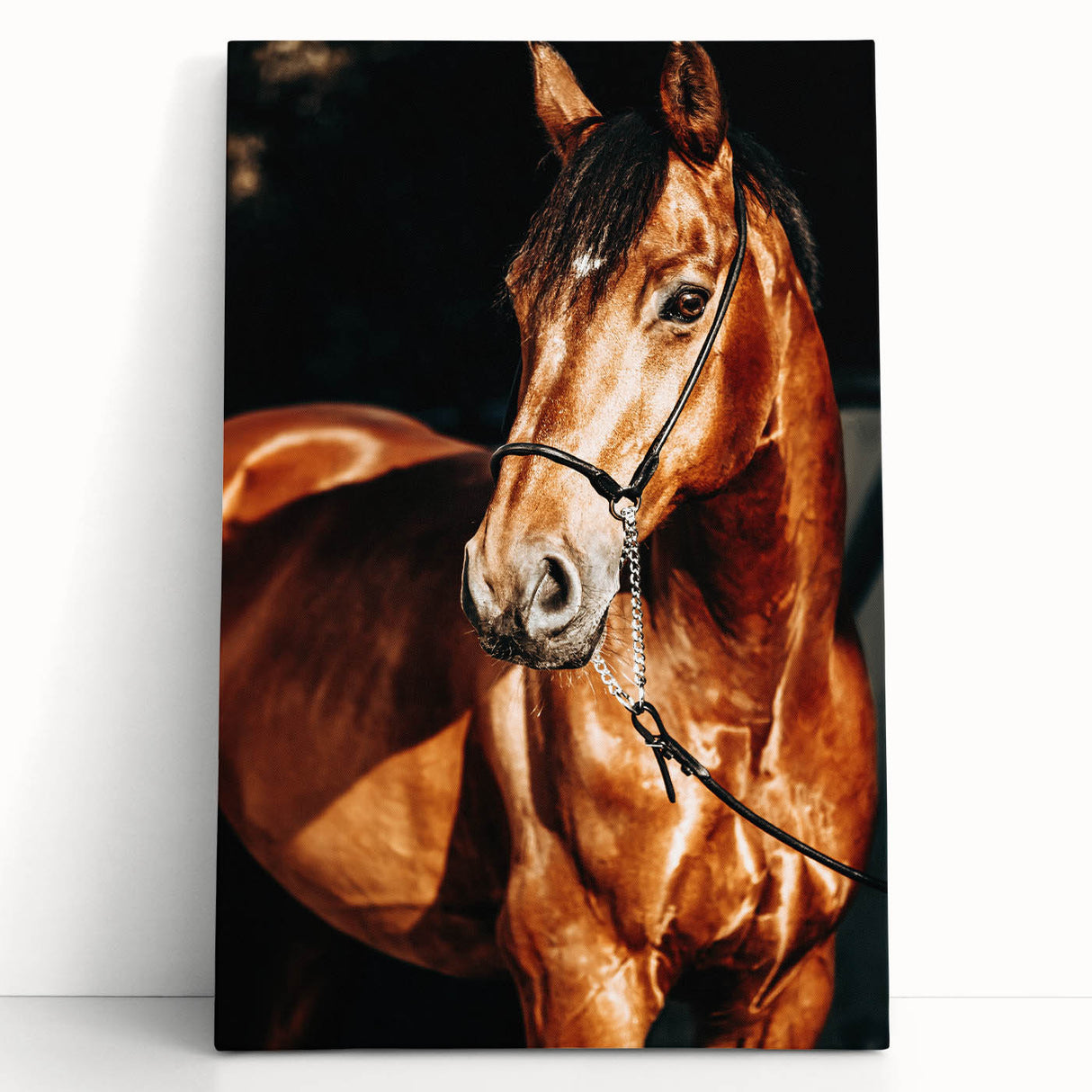 Farmhouse Wall Art – Elegant Horse Portrait – Rustic Country Decor