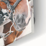 Country Horse Portrait Art - Rustic Farmhouse Wall Decor Print