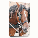 Country Horse Portrait Art - Rustic Farmhouse Wall Decor Print