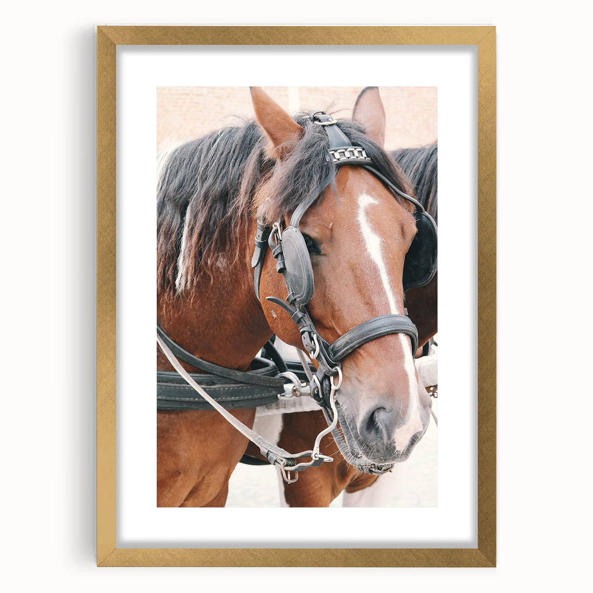 Country Horse Portrait Art - Rustic Farmhouse Wall Decor Print