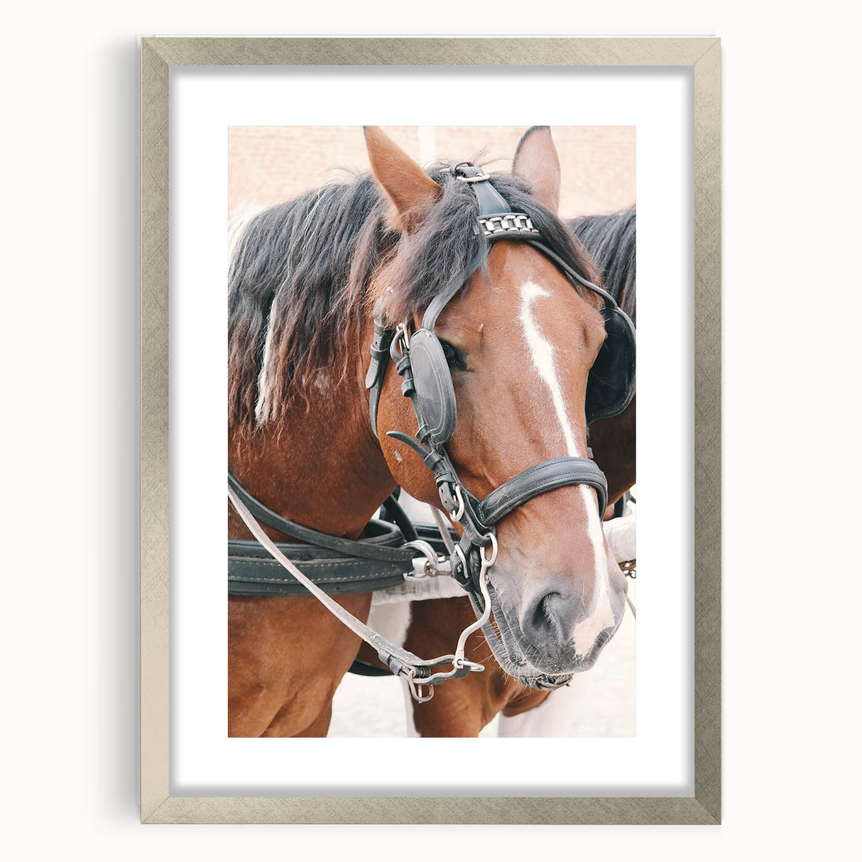 Country Horse Portrait Art - Rustic Farmhouse Wall Decor Print