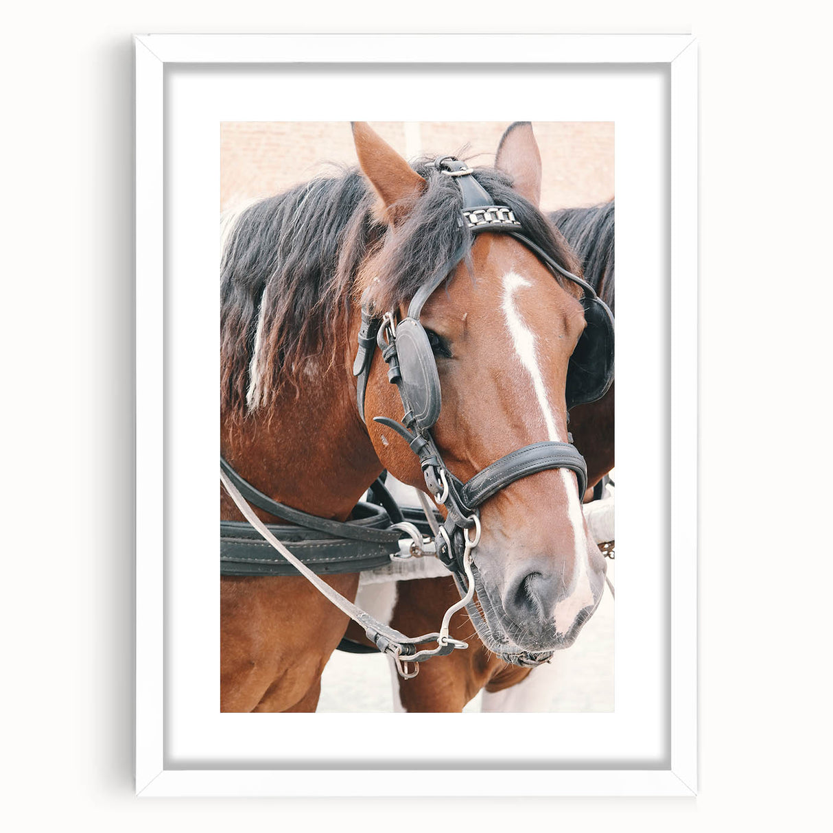 Country Horse Portrait Art - Rustic Farmhouse Wall Decor Print