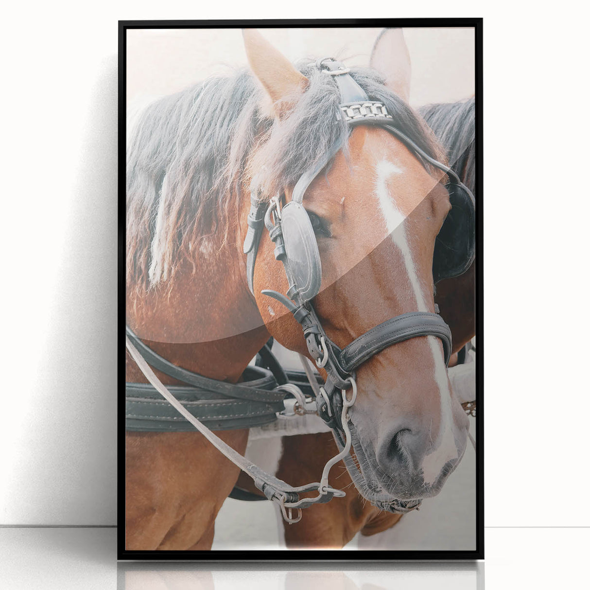 Country Horse Portrait Art - Rustic Farmhouse Wall Decor Print