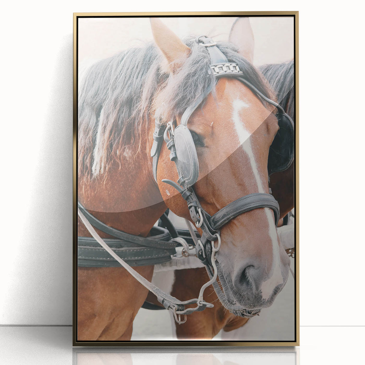 Country Horse Portrait Art - Rustic Farmhouse Wall Decor Print