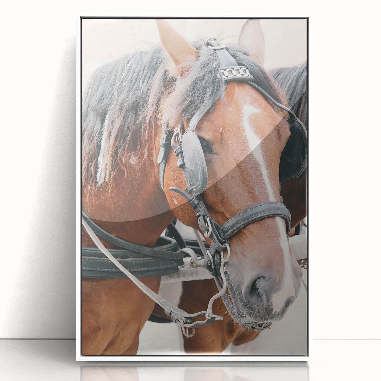 Country Horse Portrait Art - Rustic Farmhouse Wall Decor Print