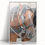 Country Horse Portrait Art - Rustic Farmhouse Wall Decor Print