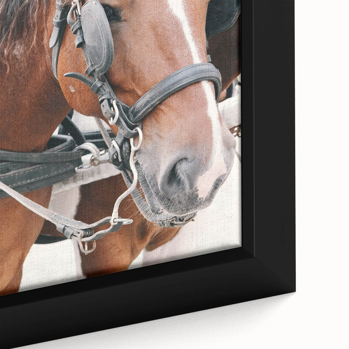 Country Horse Portrait Art - Rustic Farmhouse Wall Decor Print