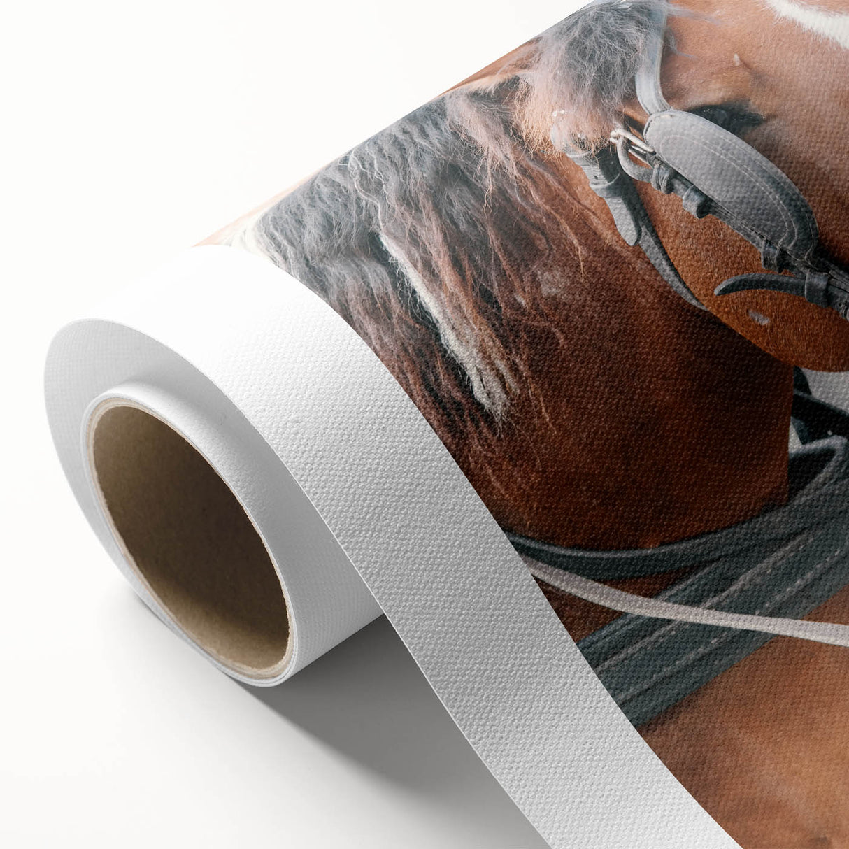 Country Horse Portrait Art - Rustic Farmhouse Wall Decor Print