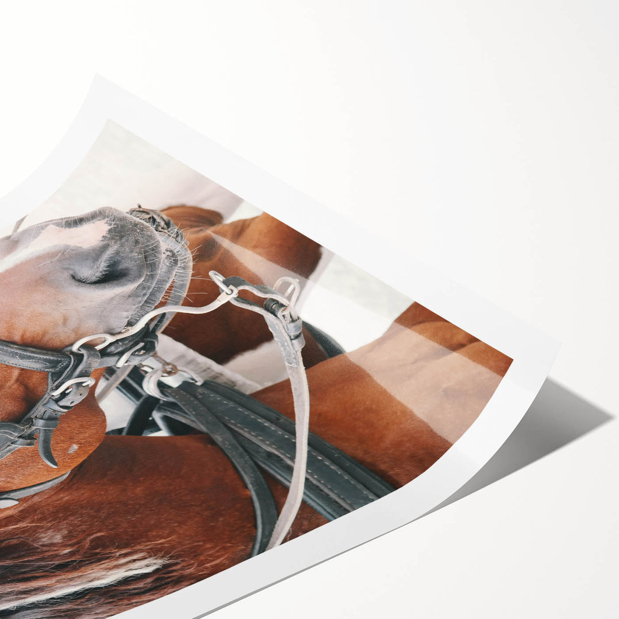 Country Horse Portrait Art - Rustic Farmhouse Wall Decor Print