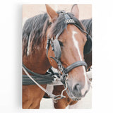 Country Horse Portrait Art - Rustic Farmhouse Wall Decor Print