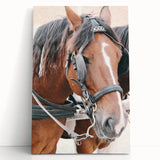 Country Horse Portrait Art - Rustic Farmhouse Wall Decor Print