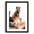 Sunset Horse Portrait Art - Rustic Farmhouse Wall Decor Print