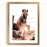 Sunset Horse Portrait Art - Rustic Farmhouse Wall Decor Print