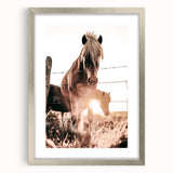 Sunset Horse Portrait Art - Rustic Farmhouse Wall Decor Print