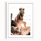 Sunset Horse Portrait Art - Rustic Farmhouse Wall Decor Print