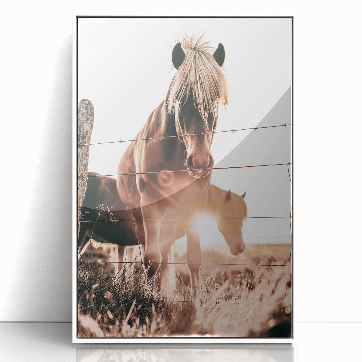 Sunset Horse Portrait Art - Rustic Farmhouse Wall Decor Print