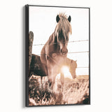 Sunset Horse Portrait Art - Rustic Farmhouse Wall Decor Print