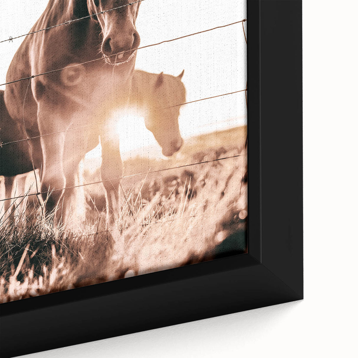 Sunset Horse Portrait Art - Rustic Farmhouse Wall Decor Print