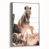 Sunset Horse Portrait Art - Rustic Farmhouse Wall Decor Print
