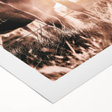 Sunset Horse Portrait Art - Rustic Farmhouse Wall Decor Print