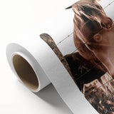 Sunset Horse Portrait Art - Rustic Farmhouse Wall Decor Print