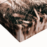 Sunset Horse Portrait Art - Rustic Farmhouse Wall Decor Print