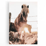 Sunset Horse Portrait Art - Rustic Farmhouse Wall Decor Print