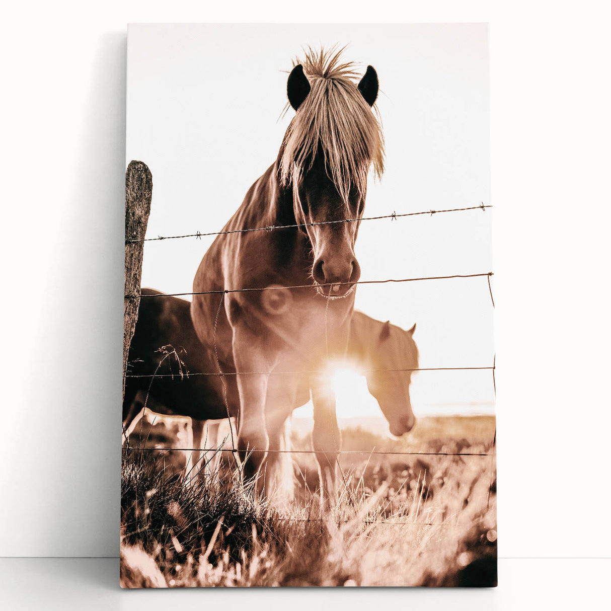 Sunset Horse Portrait Art - Rustic Farmhouse Wall Decor Print