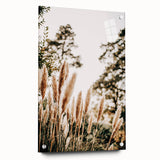Farmhouse Wall Art Tall Grass Print | Rustic Nature-Inspired Country Decor