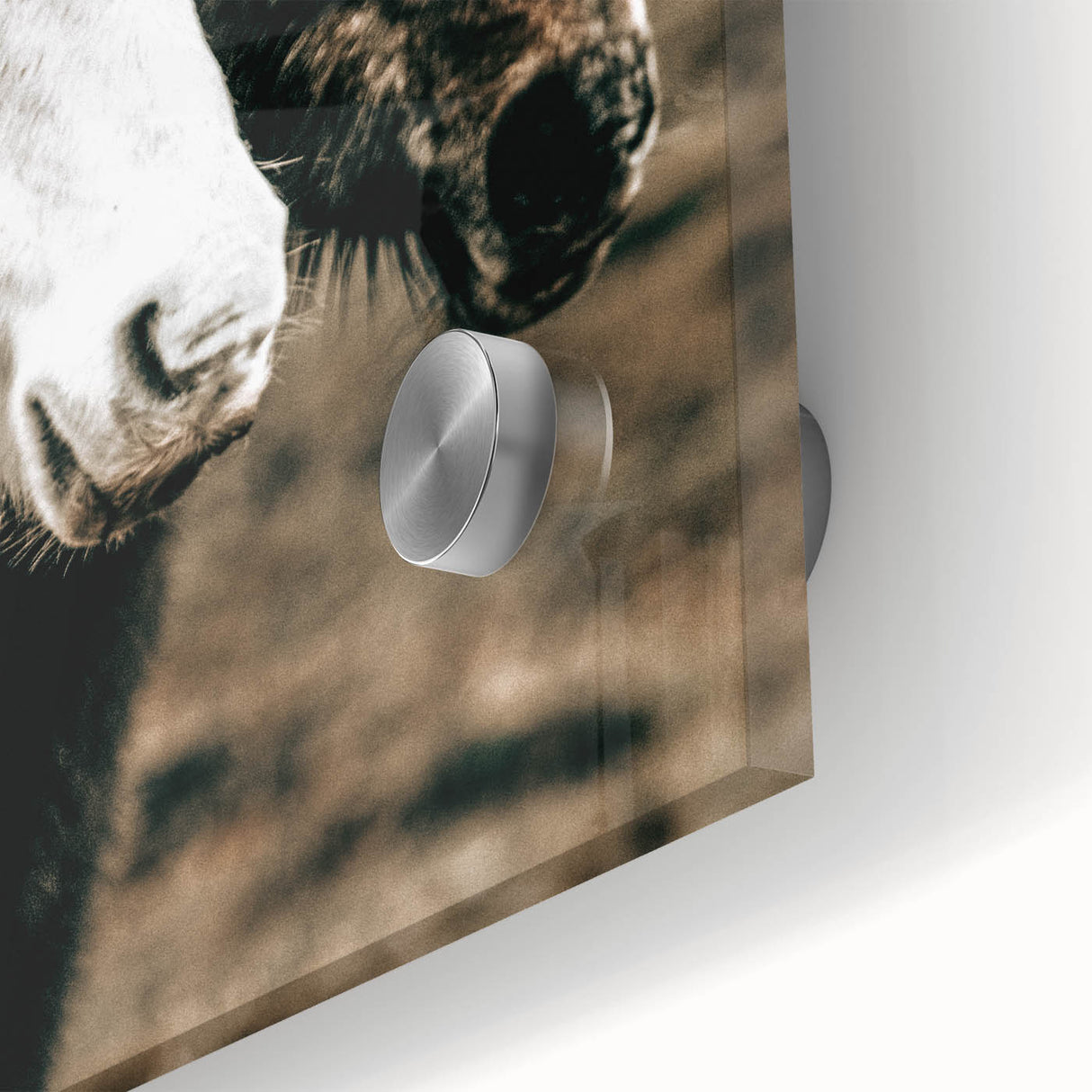 Charming Horse Duo Art - Rustic Farmhouse Wall Decor Print