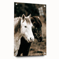Charming Horse Duo Art - Rustic Farmhouse Wall Decor Print