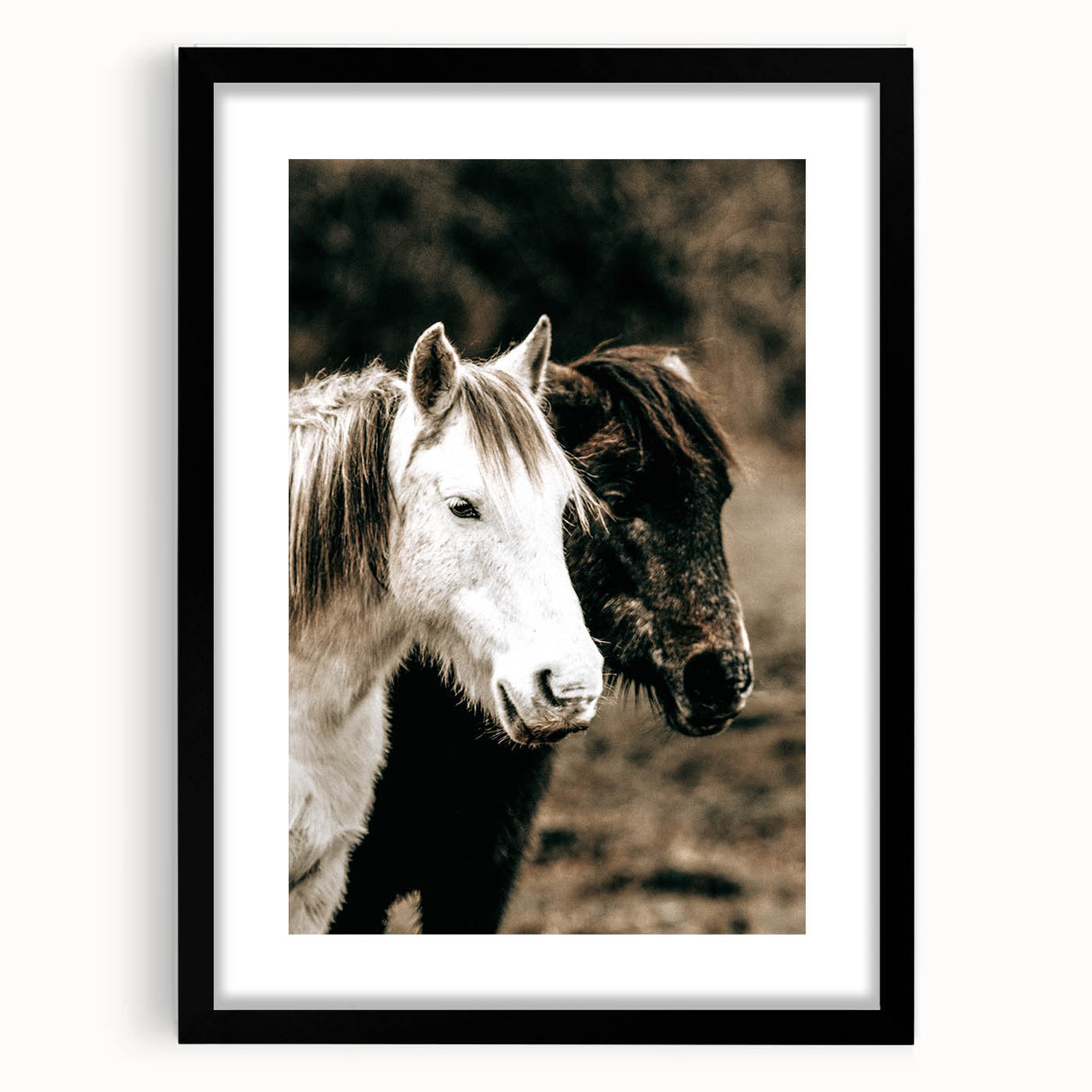 Charming Horse Duo Art - Rustic Farmhouse Wall Decor Print