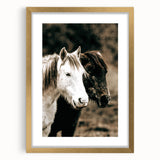 Charming Horse Duo Art - Rustic Farmhouse Wall Decor Print