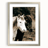 Charming Horse Duo Art - Rustic Farmhouse Wall Decor Print