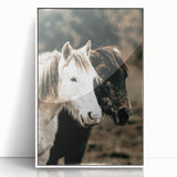 Charming Horse Duo Art - Rustic Farmhouse Wall Decor Print
