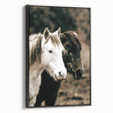 Charming Horse Duo Art - Rustic Farmhouse Wall Decor Print