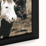 Charming Horse Duo Art - Rustic Farmhouse Wall Decor Print