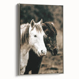 Charming Horse Duo Art - Rustic Farmhouse Wall Decor Print