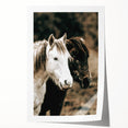 Charming Horse Duo Art - Rustic Farmhouse Wall Decor Print