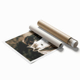 Charming Horse Duo Art - Rustic Farmhouse Wall Decor Print