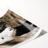 Charming Horse Duo Art - Rustic Farmhouse Wall Decor Print