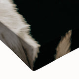 Charming Horse Duo Art - Rustic Farmhouse Wall Decor Print