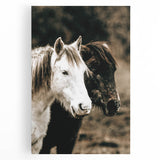 Charming Horse Duo Art - Rustic Farmhouse Wall Decor Print