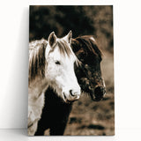 Charming Horse Duo Art - Rustic Farmhouse Wall Decor Print