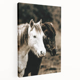 Charming Horse Duo Art - Rustic Farmhouse Wall Decor Print