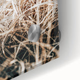 Farmhouse Wall Art Dry Grass Close-Up | Rustic Nature-Inspired Decor