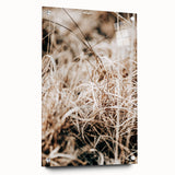 Farmhouse Wall Art Dry Grass Close-Up | Rustic Nature-Inspired Decor