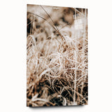 Farmhouse Wall Art Dry Grass Close-Up | Rustic Nature-Inspired Decor